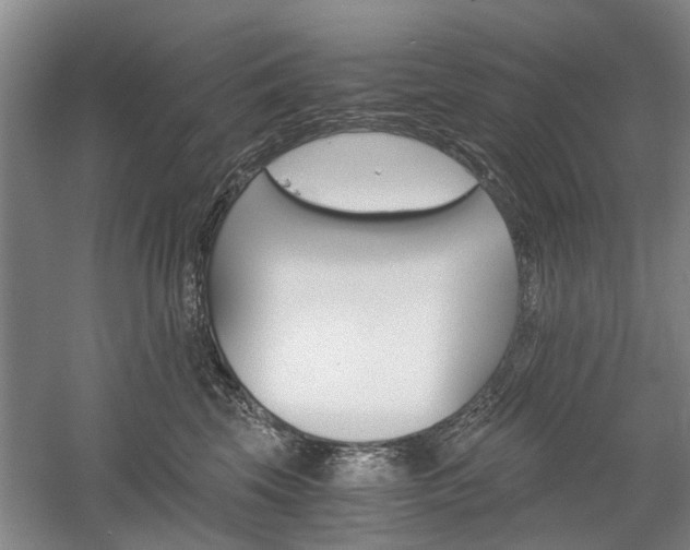 X0000058760569200509300817