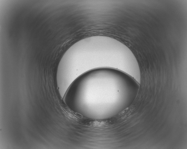 X0000058760570200509300817