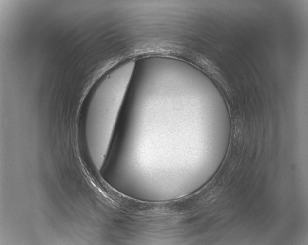 X0000058760578200509300816