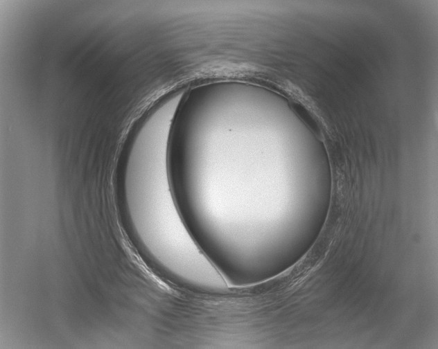 X0000058760581200509300816