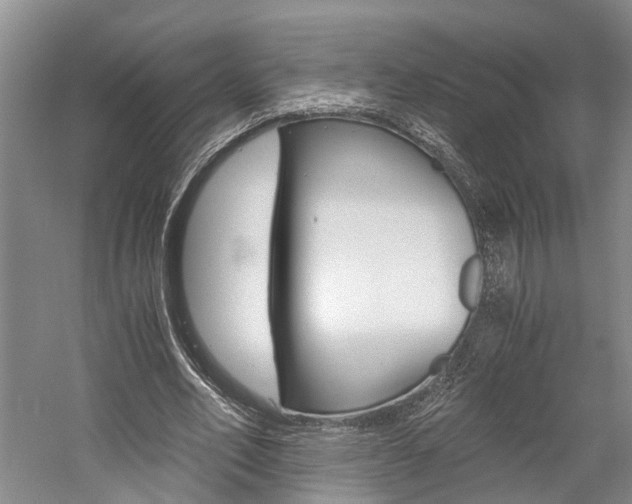 X0000058760582200509300816