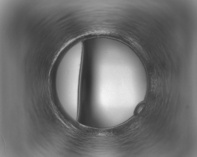 X0000058760584200509300816