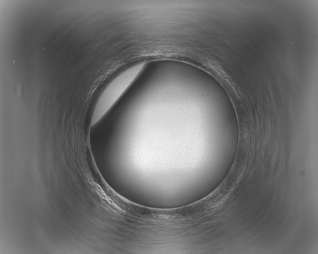 X0000058760585200509300816