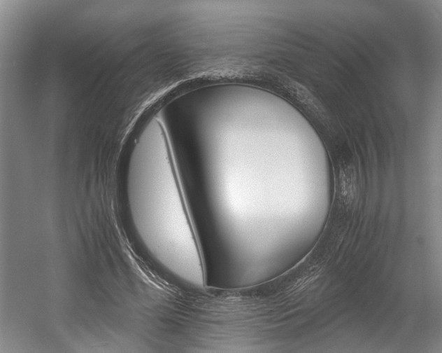 X0000058760588200509300816