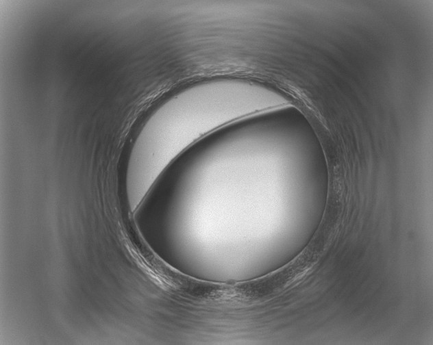 X0000058760589200509300816