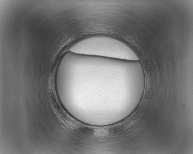 X0000058760591200509300816