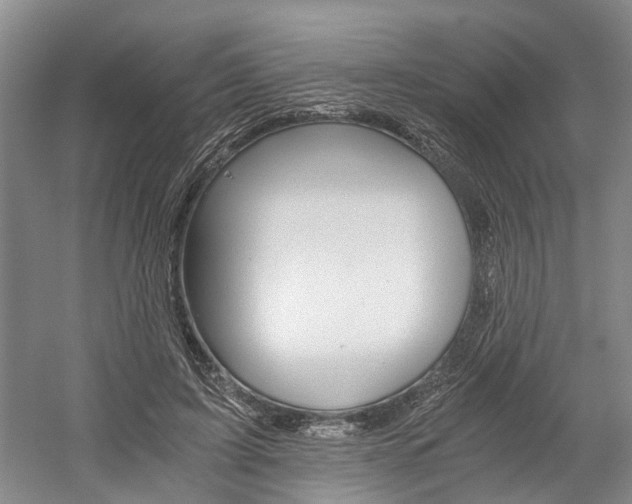 X0000058760595200509300816