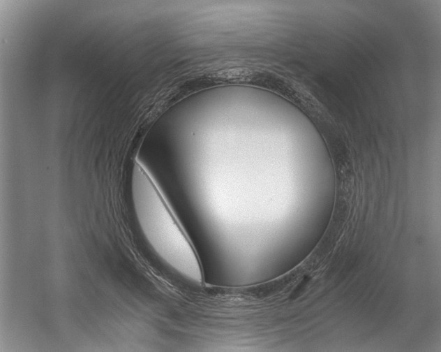 X0000058760597200509300816