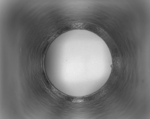 X0000058760602200509300815