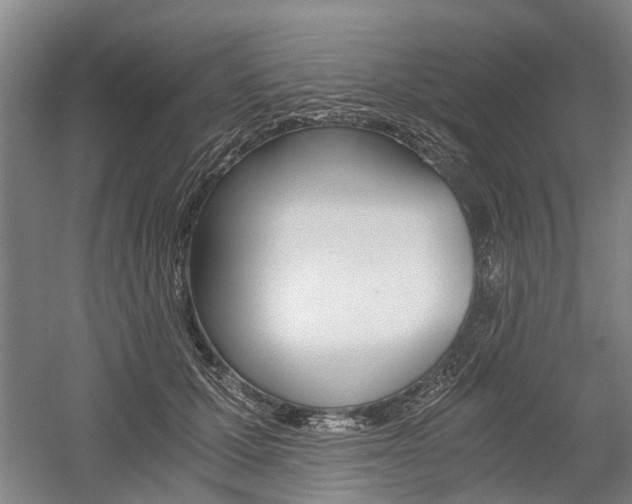 X0000058760607200509300815