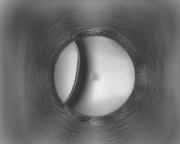 X0000058760608200509300815