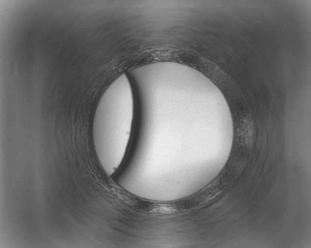 X0000058760610200509300815