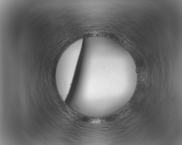 X0000058760611200509300815