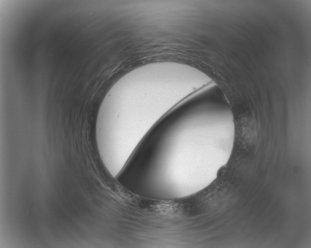 X0000058760615200509300815