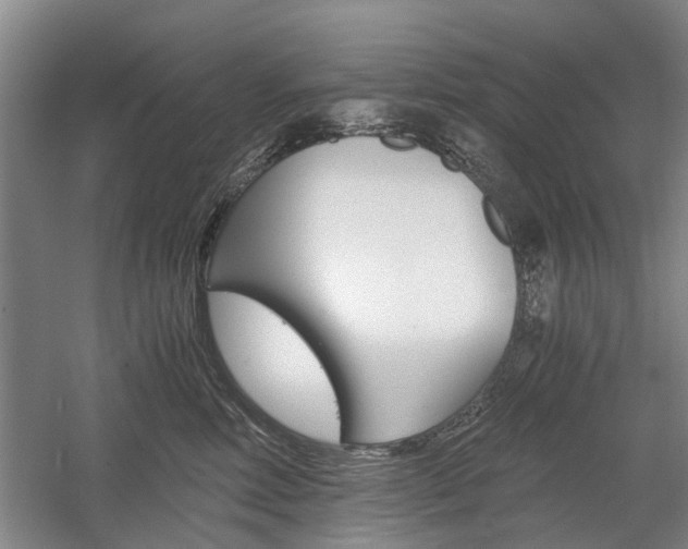 X0000058760618200509300815