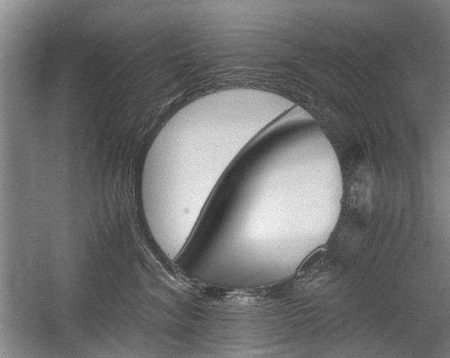 X0000058760620200509300815