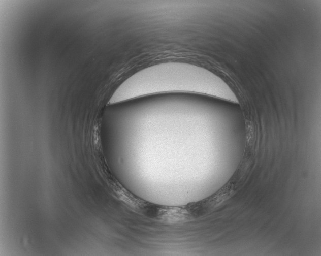 X0000058760621200509300815