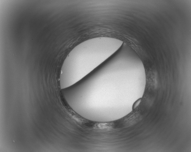 X0000058760622200509300815