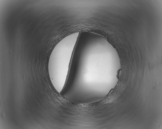 X0000058760624200509300815