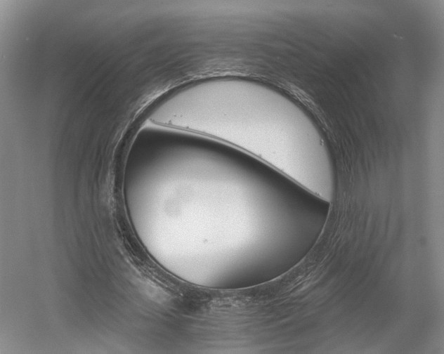 X0000058760627200509300814
