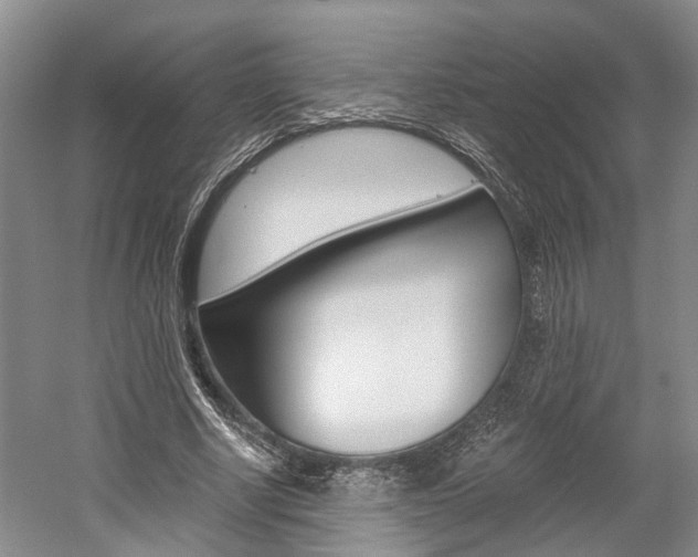 X0000058760634200509300814