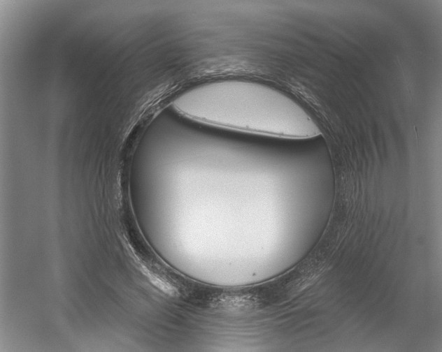 X0000058760638200509300815