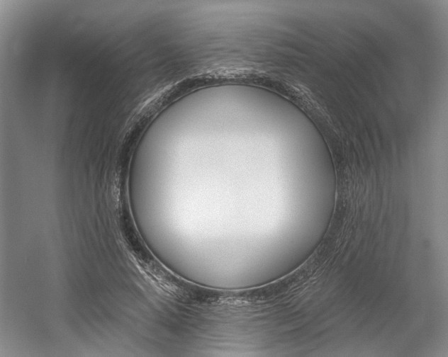 X0000058760640200509300815
