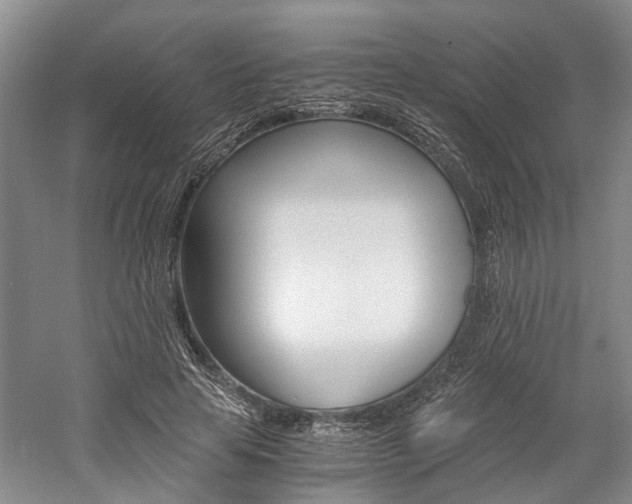 X0000058760641200509300815