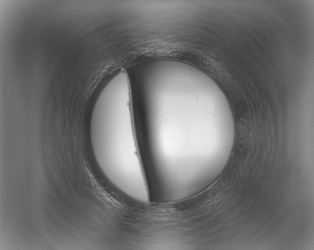 X0000058760642200509300815