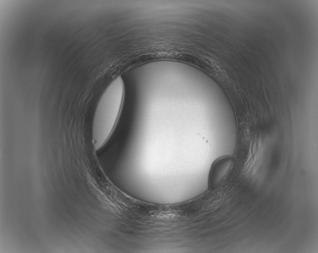 X0000058760643200509300815