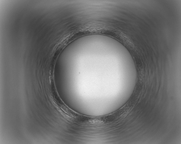 X0000058760644200509300815