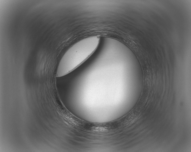 X0000058760649200509300815