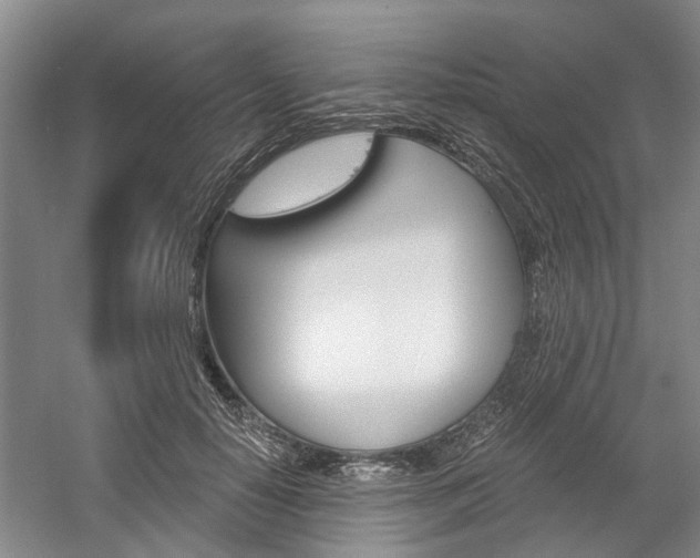 X0000058760650200509300815
