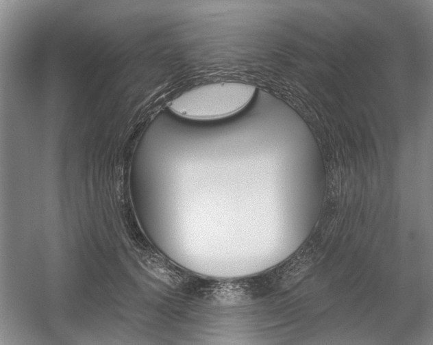 X0000058760656200509300815