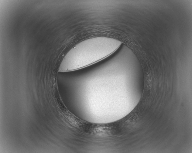 X0000058760657200509300815