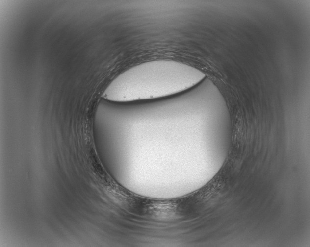 X0000058760659200509300815