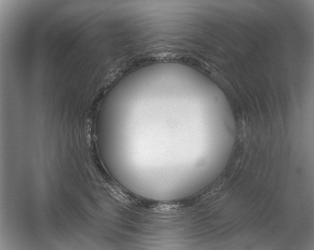 X0000058760664200509300815