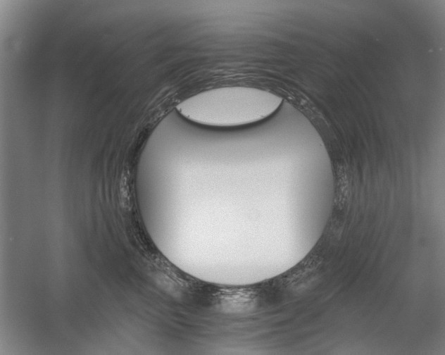 X0000058760667200509300815