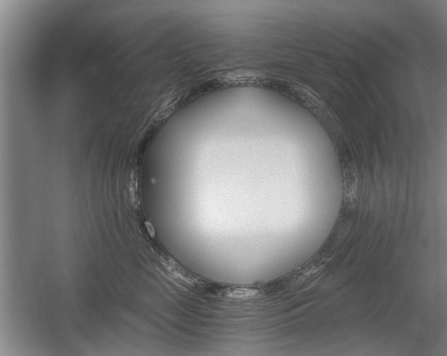 X0000058760669200509300815