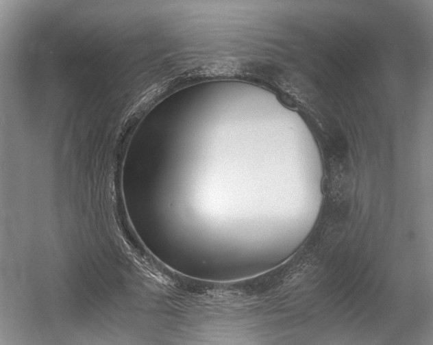 X0000058760681200509300814