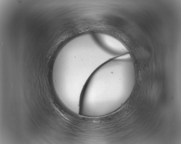 X0000058760687200509300814