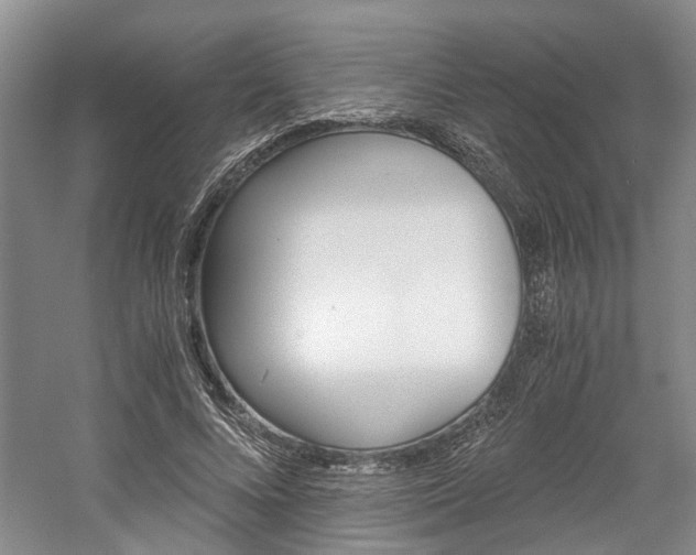 X0000058760688200509300814