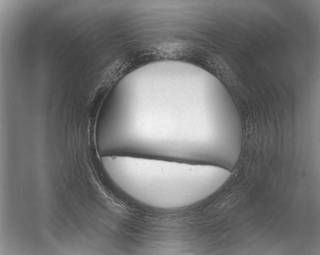 X0000058760694200509300814
