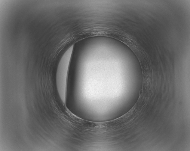 X0000058760696200509300814