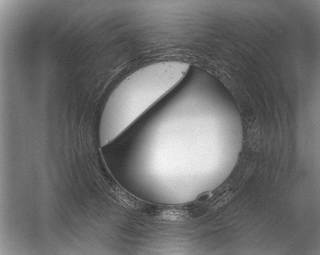 X0000058760708200509300814