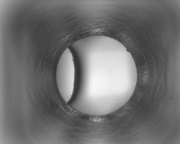 X0000058760710200509300814