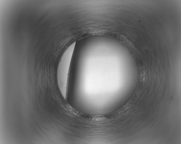 X0000058760716200509300814