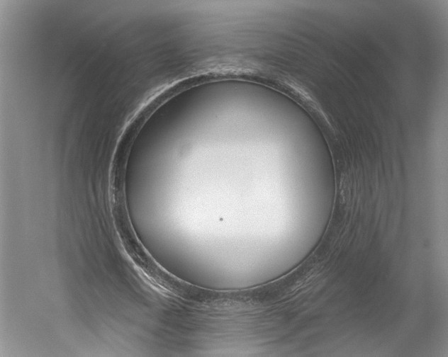 X0000058760722200509300813