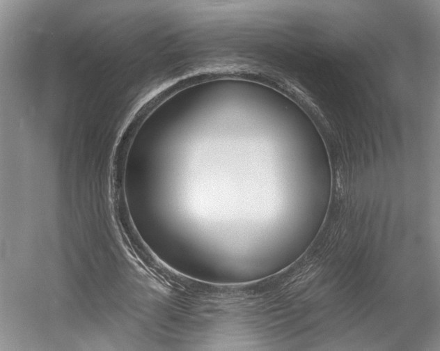 X0000058760724200509300813