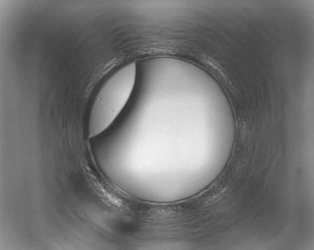 X0000058760729200509300813